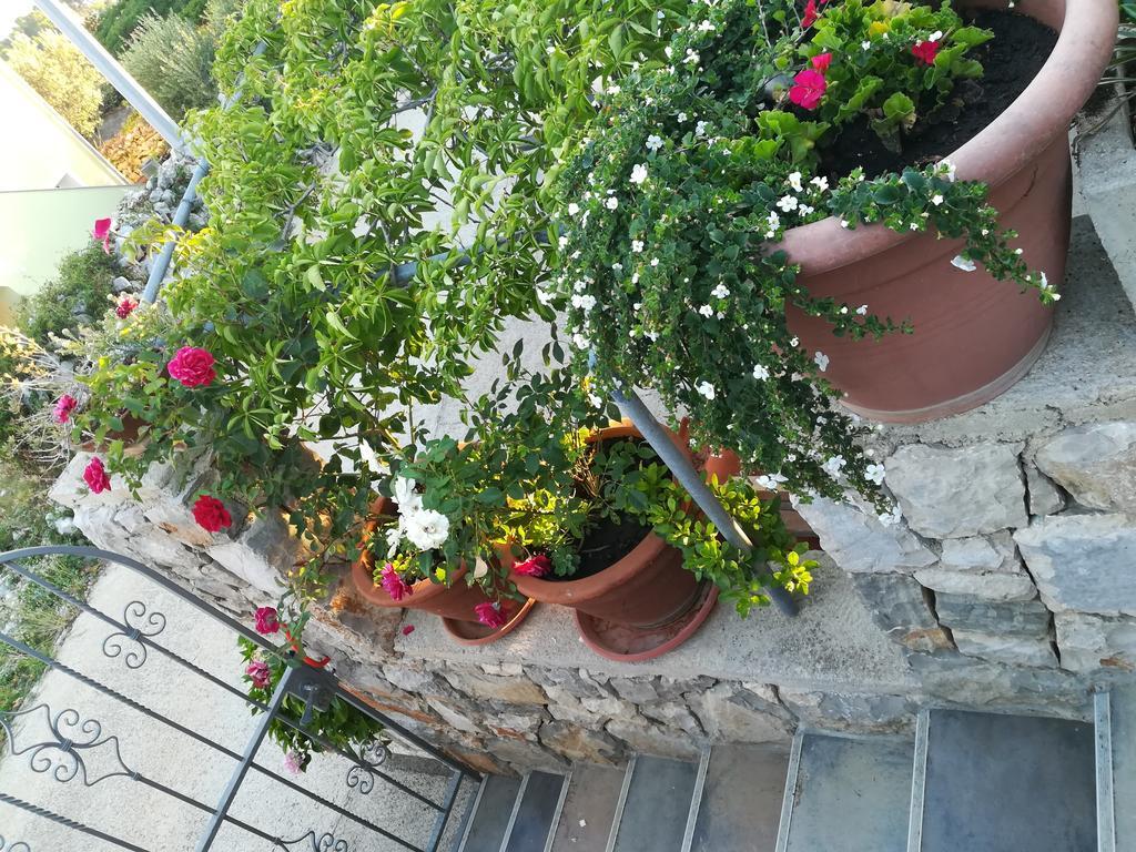 Apartment Neno - Terrace & Parking Veli Lošinj المظهر الخارجي الصورة