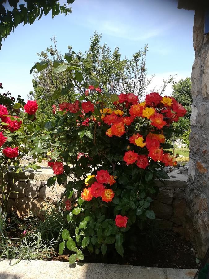Apartment Neno - Terrace & Parking Veli Lošinj المظهر الخارجي الصورة