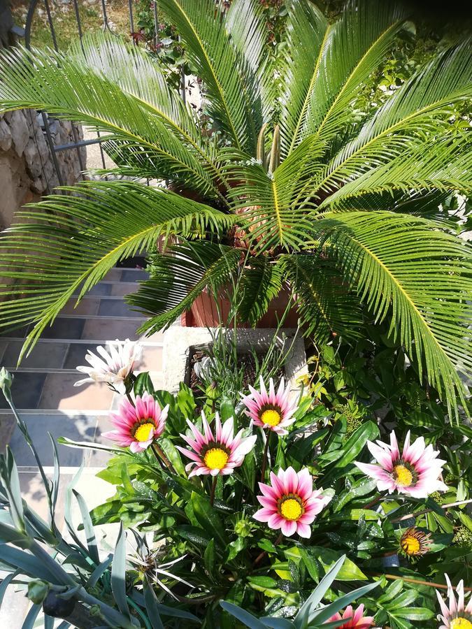 Apartment Neno - Terrace & Parking Veli Lošinj المظهر الخارجي الصورة